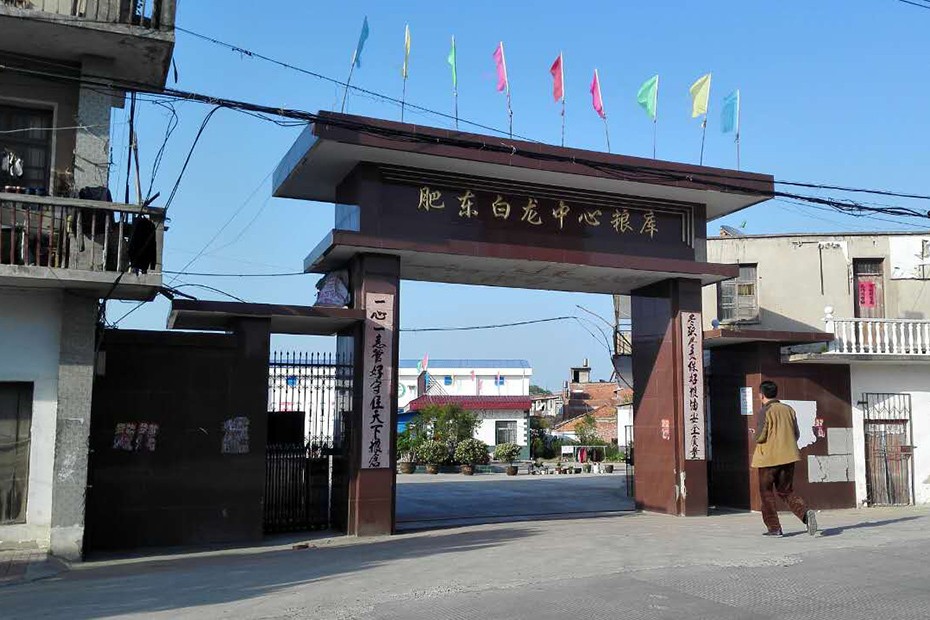 白龙4